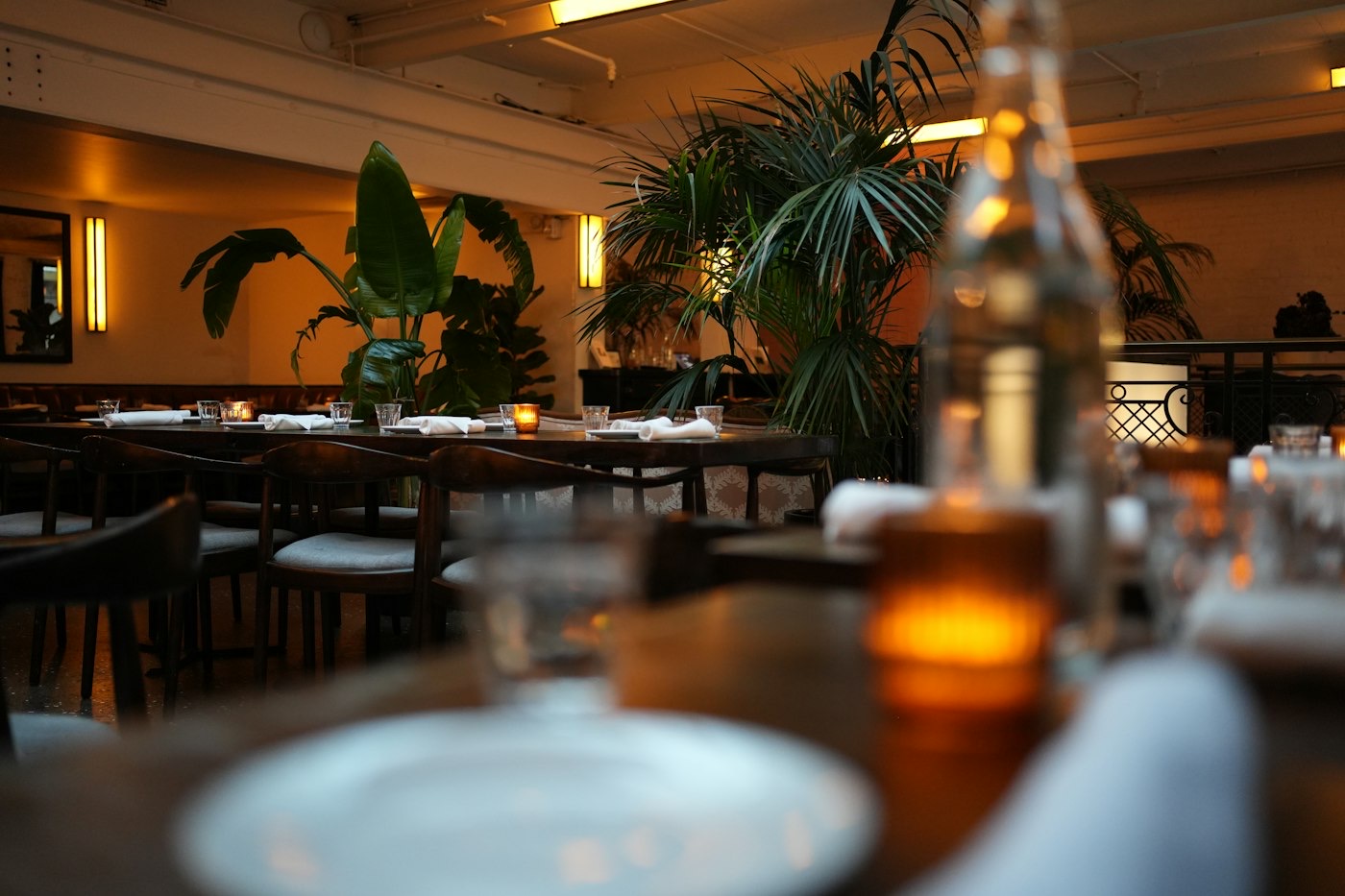 Stolovi restorana Konoba Oliva uz biljke i prigušeno svetlo